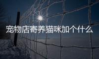 寵物店寄養貓咪加個什么名字？寵物店寄養貓咪加個名字