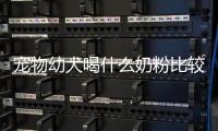 寵物幼犬喝什么奶粉比較好呢？幼犬吃什么奶粉好