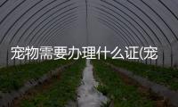 寵物需要辦理什么證(寵物魚品種大全)