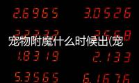 寵物附魔什么時候出(寵物王國什么時候出的)