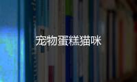寵物蛋糕貓咪