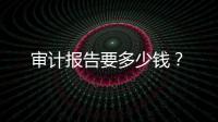 審計報告要多少錢？