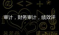 審計，財務審計，績效評價，資產評估的標準
