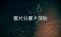 客片分享＃深秋