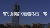 客機(jī)剛起飛遭遇鳥擊！駕駛艙錄音曝光，安全感滿滿