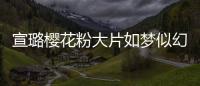 宣璐櫻花粉大片如夢似幻！垂眸淺笑春意盎然