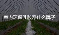 室內環保乳膠漆什么牌子好？中國環保乳膠漆十大排名