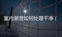 室內潮濕如何處理干凈（室內潮濕如何處理）