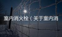 室內消火栓（關于室內消火栓的基本情況說明介紹）