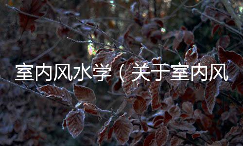 室內(nèi)風(fēng)水學(xué)（關(guān)于室內(nèi)風(fēng)水學(xué)的基本情況說明介紹）