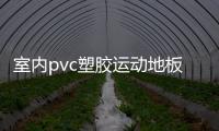 室內pvc塑膠運動地板（pvc塑膠運動地板）