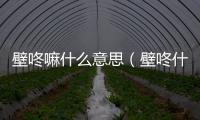 壁咚嘛什么意思（壁咚什么意思呀）