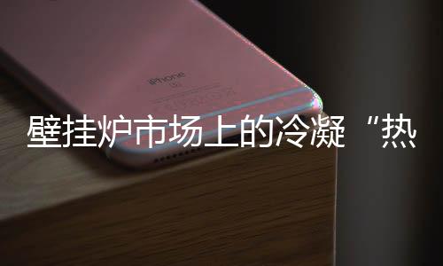 壁掛爐市場上的冷凝“熱”類型
