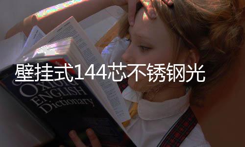 壁掛式144芯不銹鋼光交箱【產品參數圖文】