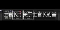 士官長（關于士官長的基本情況說明介紹）