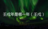 壬戌年是哪一年（壬戌）