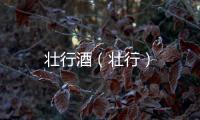壯行酒（壯行）