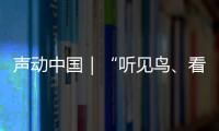 聲動中國｜“聽見鳥、看見鳥，特別好”