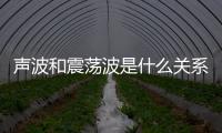聲波和震蕩波是什么關系 聲波和震蕩波的關系是什么