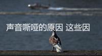 聲音嘶啞的原因 這些因素導致的聲音嘶啞