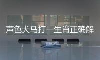 聲色犬馬打一生肖正確解答（聲色犬馬打一生肖）