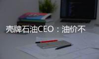 殼牌石油CEO：油價(jià)不會(huì)重返140美元