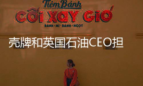 殼牌和英國石油CEO擔心石油價格影響經濟復蘇