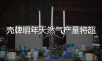 殼牌明年天然氣產(chǎn)量將超過(guò)石油產(chǎn)量