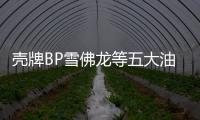 殼牌BP雪佛龍等五大油企業績第二季度全跌