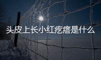 頭皮上長小紅疙瘩是什么癥狀（頭皮問題的原因和解決方法）