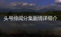 頭號緋聞分集劇情詳細介紹(1