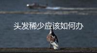 頭發稀少應該如何辦