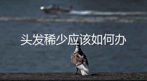 頭發稀少應該如何辦