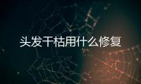 頭發干枯用什么修復