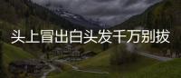 頭上冒出白頭發千萬別拔 拔掉一根白發可能會長出兩三根