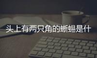 頭上有兩只角的蜥蜴是什么？ 角蜥