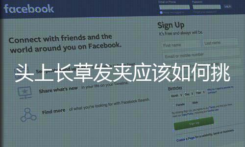 頭上長草發夾應該如何挑選