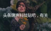 頭條瑞聲科技貼吧，有關瑞聲科技自主軟件的詳情