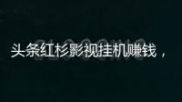 頭條紅杉影視掛機賺錢，有關紅衫科技影視掛機軟件的詳情