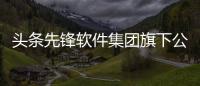 頭條先鋒軟件集團旗下公司，有關先鋒軟件屬于科技股嗎的詳情