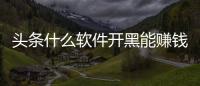 頭條什么軟件開黑能賺錢，有關(guān)去哪個軟件可以開黑科技的詳情