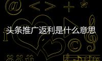 頭條推廣返利是什么意思，有關廣推科技返利軟件下載不了的詳情