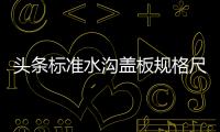 頭條標準水溝蓋板規格尺寸，有關廣西水溝蓋板尺寸的詳情