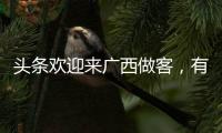 頭條歡迎來廣西做客，有關歡迎回廣西河池的詳情