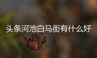 頭條河池白馬街有什么好吃的，有關河池白馬街天橋倒塌的詳情
