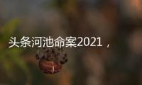 頭條河池命案2021，有關河池106案后續的詳情