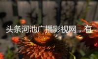 頭條河池廣播影視網，有關河池電臺招聘的詳情