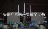 頭條廣西南丹吳榮全，有關廣西吳榮簡歷的詳情
