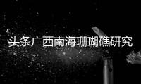 頭條廣西南海珊瑚礁研究重點實驗室，有關廣西珊瑚化石簡介的詳情