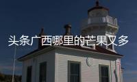 頭條廣西哪里的芒果又多又便宜，有關廣西哪里出產芒果的詳情
